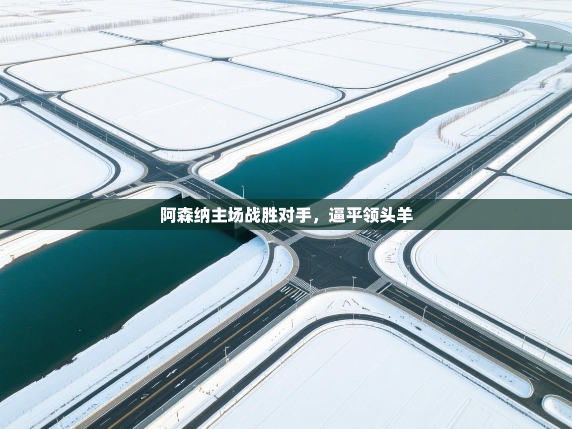 阿森纳主场战胜对手，逼平领头羊  第2张